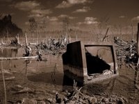 Что будет с миром без техники?