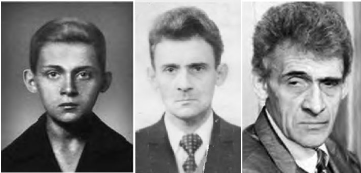 Владимир Львович Фрайштадт