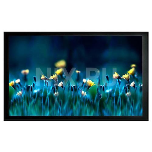 Экран Cactus 113x200см FrameExpert CS-PSFRE-200X113 16:9