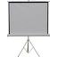 Экран для проектора, переносной/на треноге 67" (170 см) Cactus Triscreen CS-PST-127X127 1:1 Matte White, вид спереди