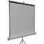 Экран для проектора, переносной/на треноге 67" (170 см) Cactus Triscreen CS-PST-127X127 1:1 Matte White, вид дополнительный 1