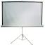 Экран для проектора, переносной/на треноге 100" (254 см) Cactus Triscreen CS-PST-180x180 1:1 Matte White, вид спереди