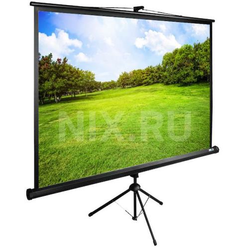 Экран Cactus TriExpert <CS-PSTE-200х150-BK>
