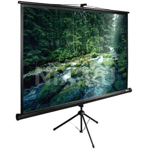 Экран Cactus TriExpert <CS-PSTE-220х165-BK>
