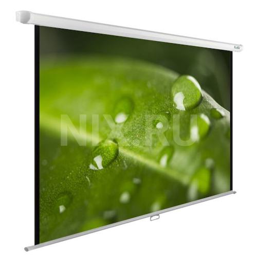 Экран Cactus WallExpert <CS-PSWE-200x150-WT>