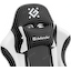 вид дополнительный