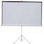 Экран для проектора, переносной/на треноге 98" (250 см) Digis Kontur-D DSKD-4303 4:3 Matte White, вид спереди