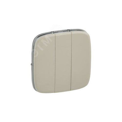 Legrand 755036 Valena ALLURE Лицевая панель для выключателя трехклавишного Слоновая кость (755036)