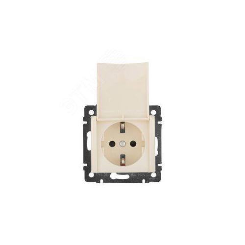 Розетка силовая Legrand Valena Classic 774322