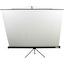 Экран для проектора, переносной/на треноге 84" (213 см) Lumien Eco View LEV-100101 1:1 Matte White, вид спереди