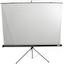 Экран для проектора, переносной/на треноге 100" (254 см) Lumien Eco View LEV-100102 1:1 Matte White, вид спереди