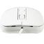 Проводная Мышь OKLICK Optical Mouse 310M (USB, 4btn, 2400 dpi), вид спереди