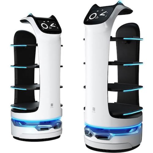 BellaBot