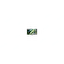 вид дополнительный