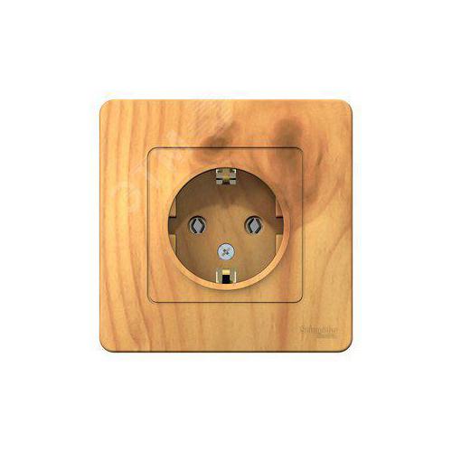 Розетка силовая Schneider Electric Blanca BLNRS001015