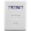 Розетка внешняя RJ-45 TWT TWT-SM1-45-WH, вид сверху