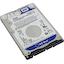 Жесткий диск 2.5" Western Digital Blue 320 Гб WD3200LPCX SATA 6Gb/s (SATA-III), вид основной